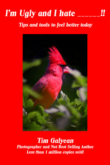 I'm Ugly and I Hate ______!! I'm Ugly and I Hate ______!! Ebook,cover,